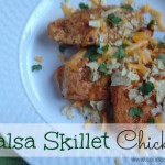 Salsa Skillet Chicken Recipe – only 2 Ingredients!
