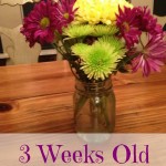 5 Ways to Help your Fresh Cut Flowers Last Longer