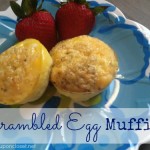 5 New Recipes posted this week!