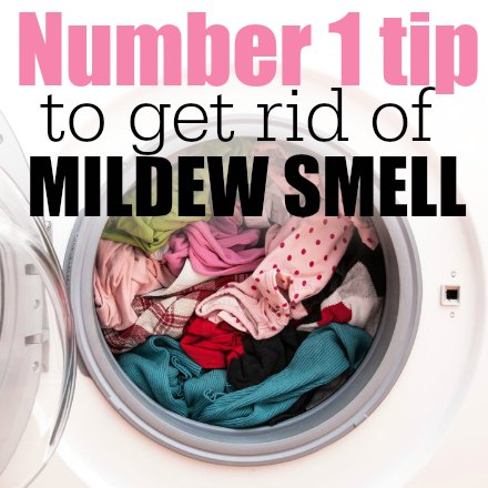 How to get rid of mildew smell. You only need one ingredient and you can easily get rid of that yucky mildew smell. It does work! Learn how to get rid of mildew smell in clothes and how to get rid of mildew smell in towels. You will be amazed at how simple, cheap and easy this tip is! 