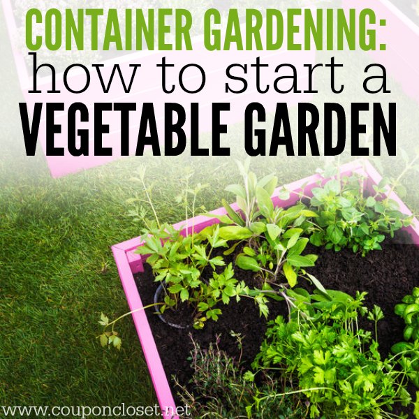 Container gardening - how to start a vegetable garden. Growing vegetables in containers is much easier than you might think. With these gardening tips, you will be starting a garden in fun container in no time!